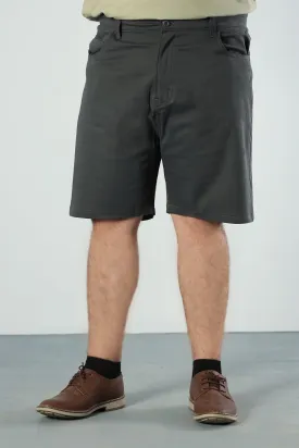 Sea Moss Chino Shorts (Plus Size) - P22 - MSH044P